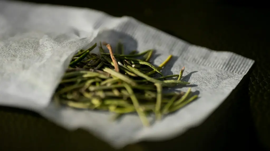 Herbe du Dragon